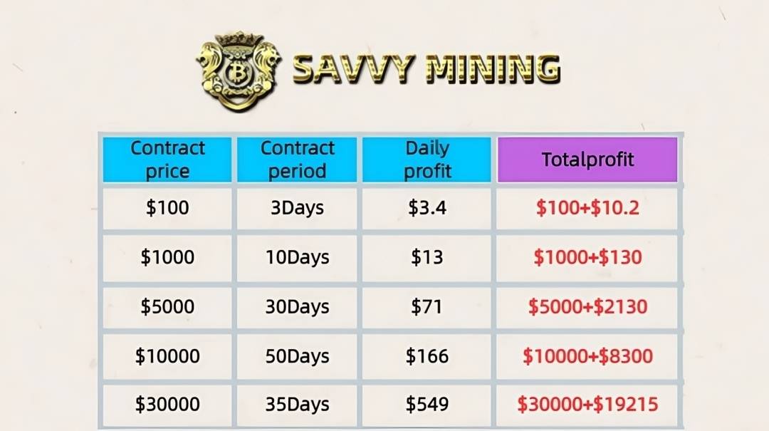 savvymining.com